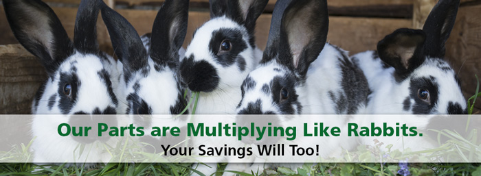 Our Parts are Multiplying Like Rabbits. Your Savings Will Too!