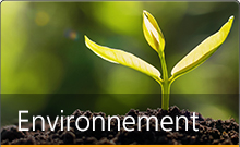 En savoir plus sur notre engagement pour l’environnement